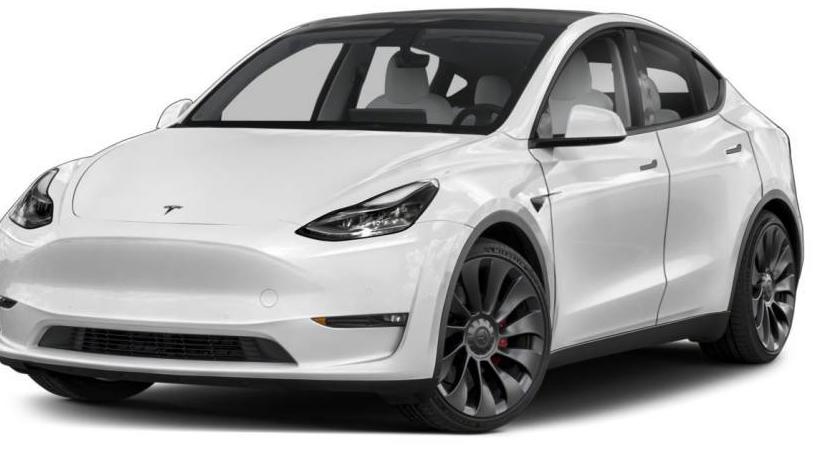 TESLA MODEL Y 2020 5YJYGDEE7LF012646 image